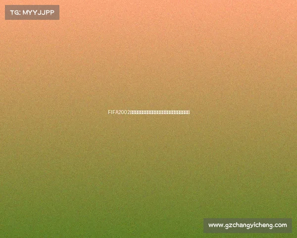 FIFA2002世界杯动画经典回顾激情赛场重现全景解析高清重制版